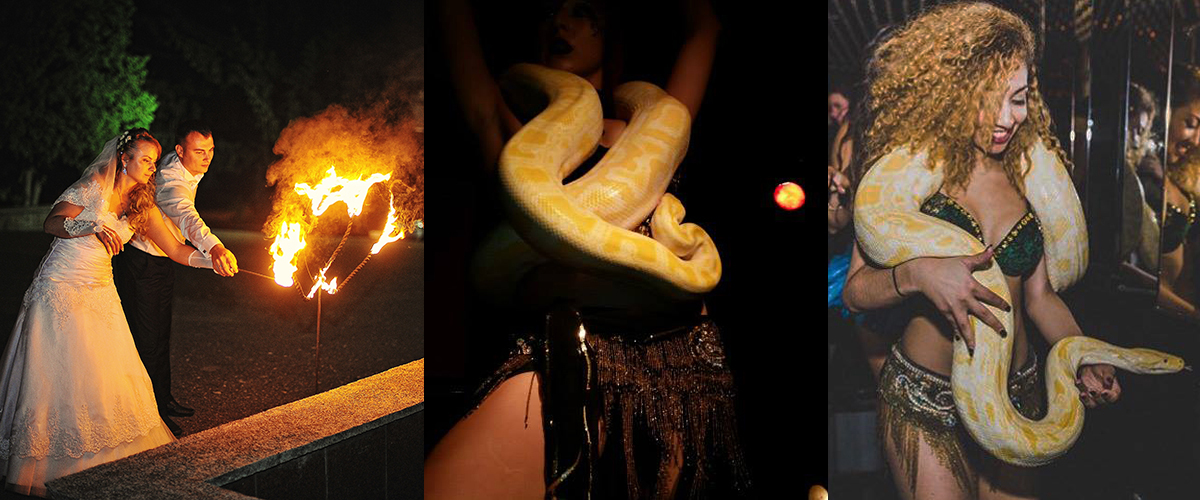 Themafeesten met slangen